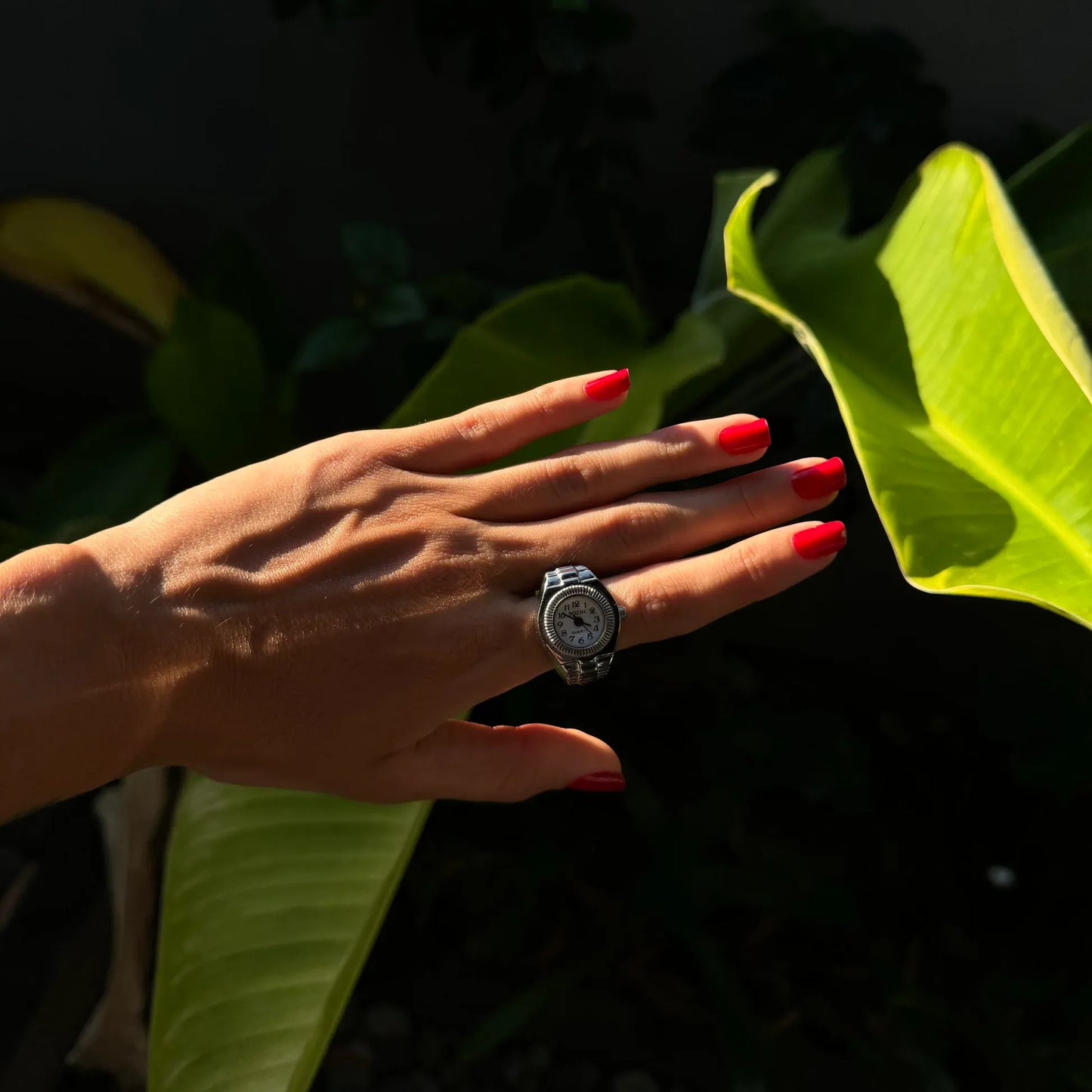 Anillo Milano | Blanco Plata